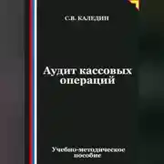 Постер книги Аудит кассовых операций