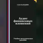 Постер книги Аудит финансовых вложений