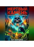 Пётр Фарфудинов - «ГЛУБИННАЯ СТОРОНА. Дело о пропавших геологах»