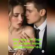 Постер книги Она тень. Он буря. Их история взрыв Ограничение: 18++