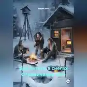 Постер книги Два ангела в снегах Ограничение 18++