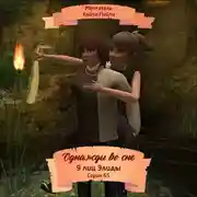 Постер книги Однажды во сне, 9 лиц Элиды, Серия 65