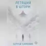 Постер книги Летящий в шторм