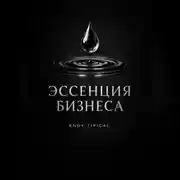 Постер книги Эссенция Бизнеса