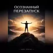 Постер книги Осознанныи Перезапуск
