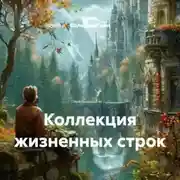 Постер книги Коллекция жизненных строк