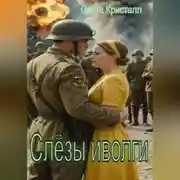 Постер книги Слёзы иволги