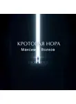Максим Волков - Кротовая нора