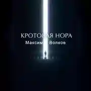 Постер книги Кротовая нора