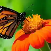 Постер книги im-qqwa 02