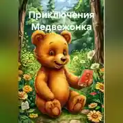 Постер книги Приключения Мишки.