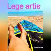 Постер книги Lege artiis.