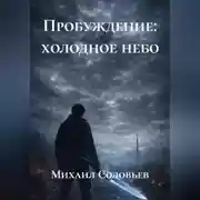 Постер книги Пробуждение: Холодное небо