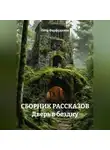 Пётр Фарфудинов - СБОРНИК РАССКАЗОВ Дверь в бездну