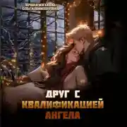 Постер книги Друг с квалификацией ангела