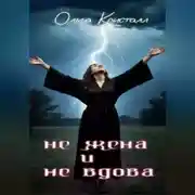 Постер книги Не жена и не вдова