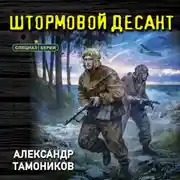 Постер книги Штормовой десант