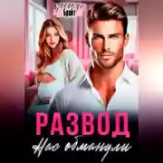 Постер книги Развод. Нас обманули