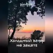 Постер книги Холодный вечер на закате