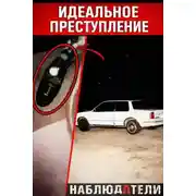 Постер книги Идеальная подстава почти сработала