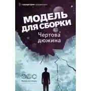 Постер книги Модель для сборки. «Чёртова дюжина»