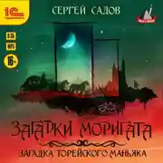 Постер книги Загадка Торейского маньяка