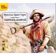 Постер книги Габриэль Конрой