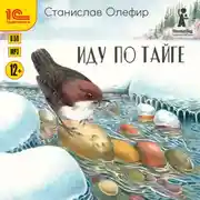 Постер книги Иду по тайге