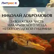 Постер книги Заволжская часть Макарьевского уезда Нижегородской губернии