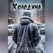 Постер книги Холодина