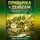 Иван Приморский - Привычка к деньгам. Финансовые ритуалы для роста дохода