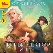 Постер книги Черный сектор. Иней