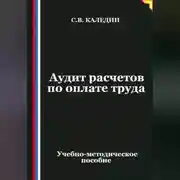 Постер книги Аудит расчетов по оплате труда