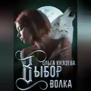 Постер книги Выбор волка