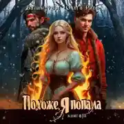 Постер книги Похоже, я попала 3
