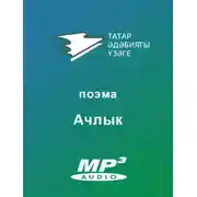 Постер книги Ачлык