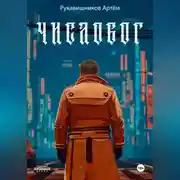 Постер книги ЧИСЛОБОГ