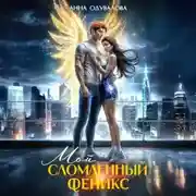 Постер книги Мой сломленный Феникс