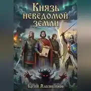 Постер книги Князь неведомой земли