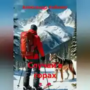 Постер книги Случай в горах