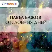 Постер книги Отслоения дней