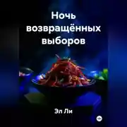 Постер книги Ночь возвращённых выборов