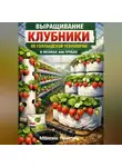 Максим Практик - Выращивание клубники по голландской технологии в мешках или трубах