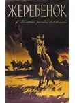 Шолохов Михаил - Жеребёнок