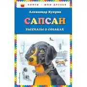 Постер книги Сапсан