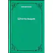 Постер книги Штопальщик