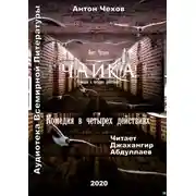 Постер книги Чайка