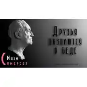 Постер книги Друзья познаются в беде