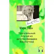 Постер книги Трогательный случай из детства Джорджа Вашингтона