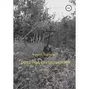 Постер книги Гроза над скудельницей